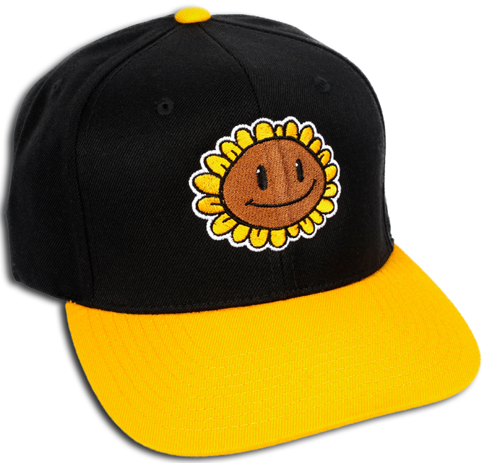 pvz merchandise store